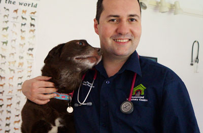 Registered Veterinary Nurse Vacancy